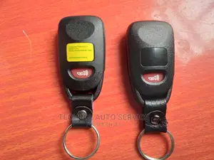 Hyundai Sonata Remote Housing