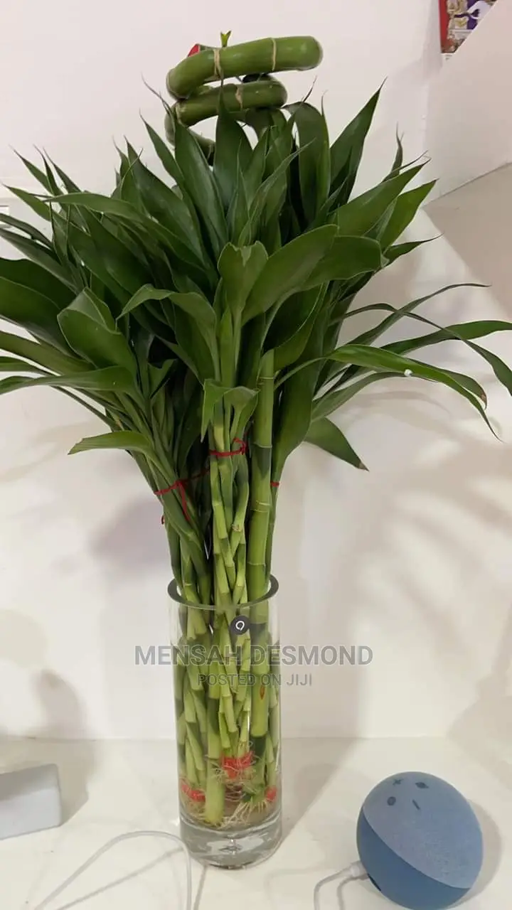 All Kinds of Flowers  Available