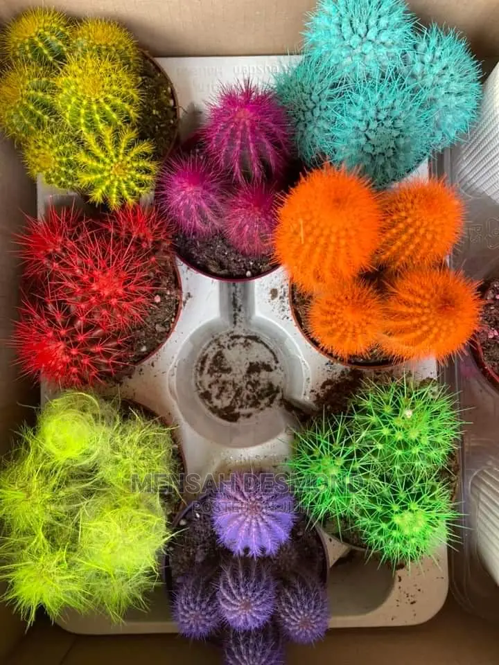 All Kinds of Flowers  Available