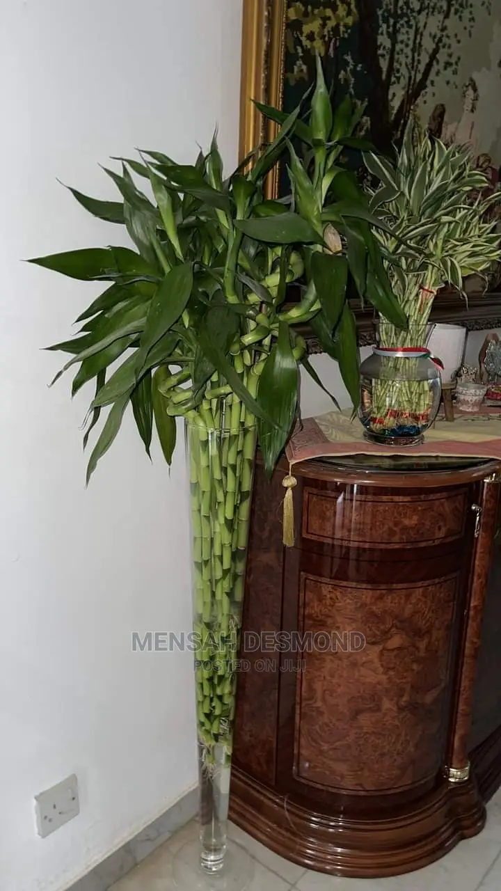 All Kinds of Flowers  Available
