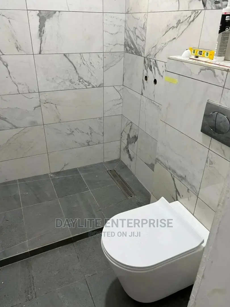 Hanging Wc For