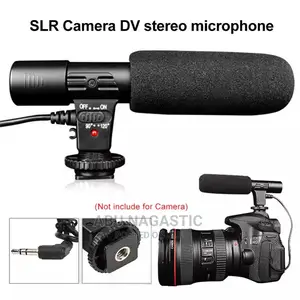 Camera and Camcorder Microphone