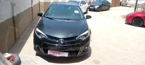 Car Rental