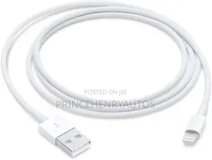 Apple Lightning to USB Cable (1 M)