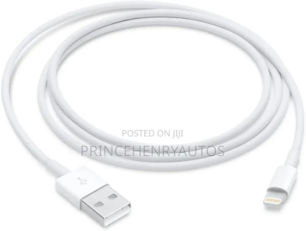 Apple Lightning to USB Cable (1 M)