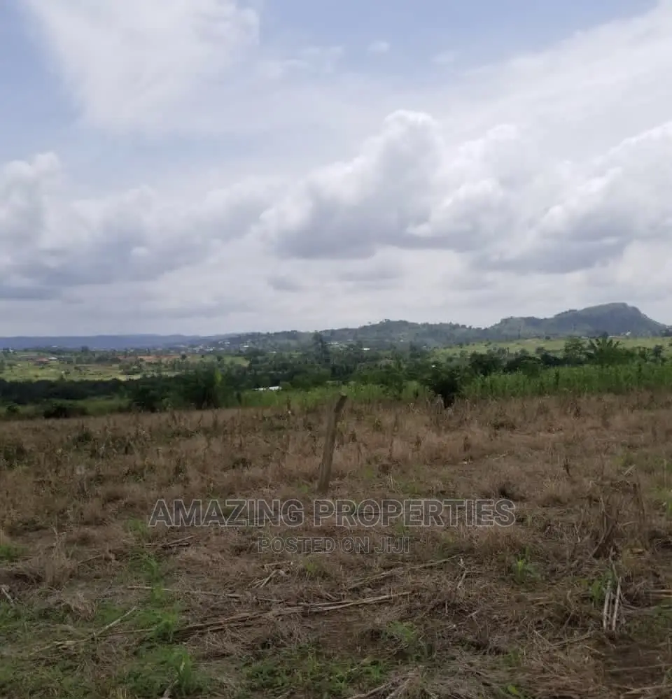 Vast Land for Sale at Tsopoli