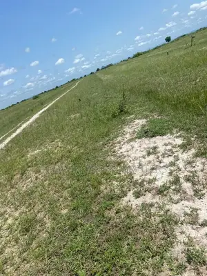 Commercial Plots for Sale