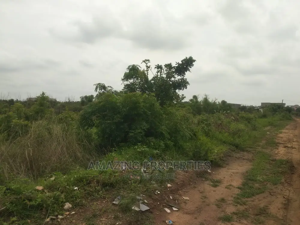 300acre of Land for Sale Amasaman Roadside Registered Land