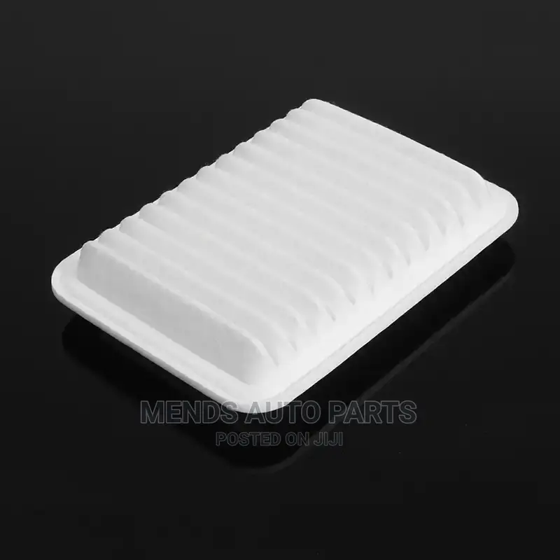 Car Engine Cabin Air Filter for All Cars Available