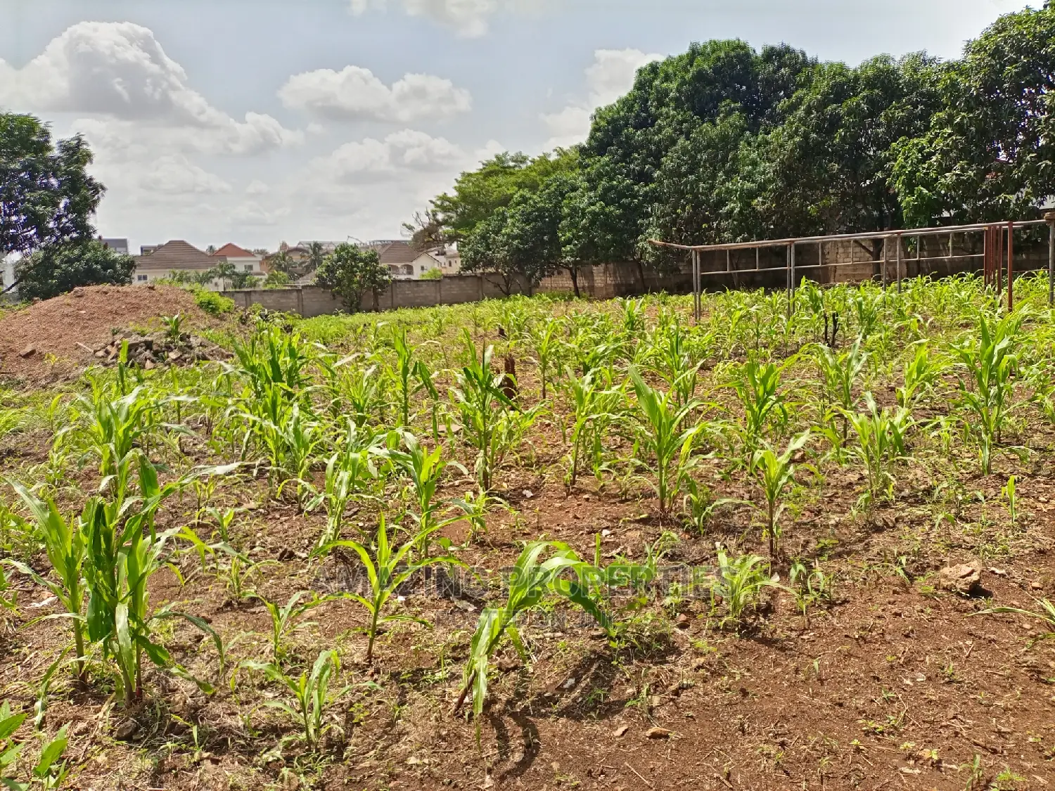 3plots of Walled and Gated Land for Sale Spintex, Regimanuel
