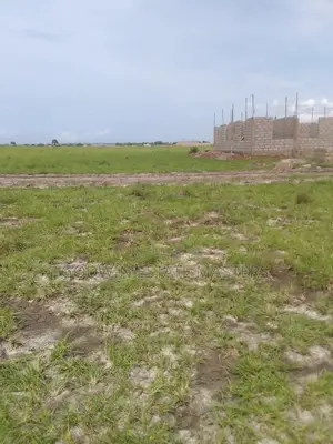 Commercial Plots for Sale at Tsopoli