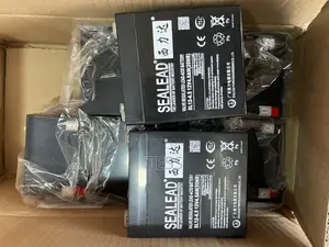 Sealead Battery 12V 4.5ah Battery