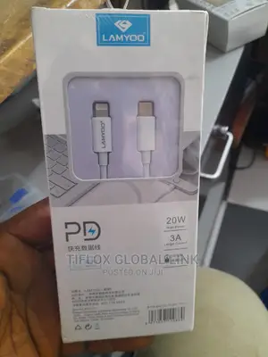 Type C to Lighting Cable