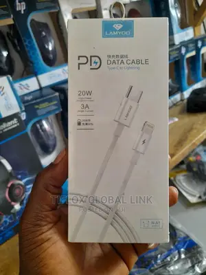 Type C to Lighting Cable