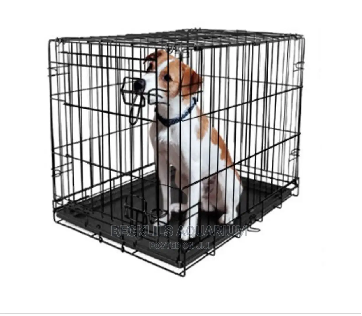 Metallic Cages and More