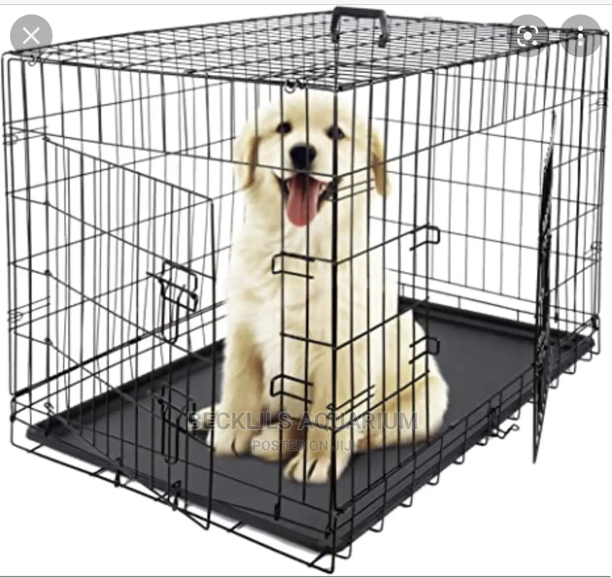 Metallic Cages and More