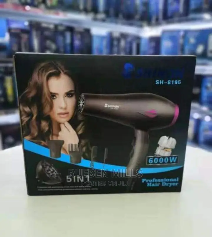Shinon Salon Hair Dryer