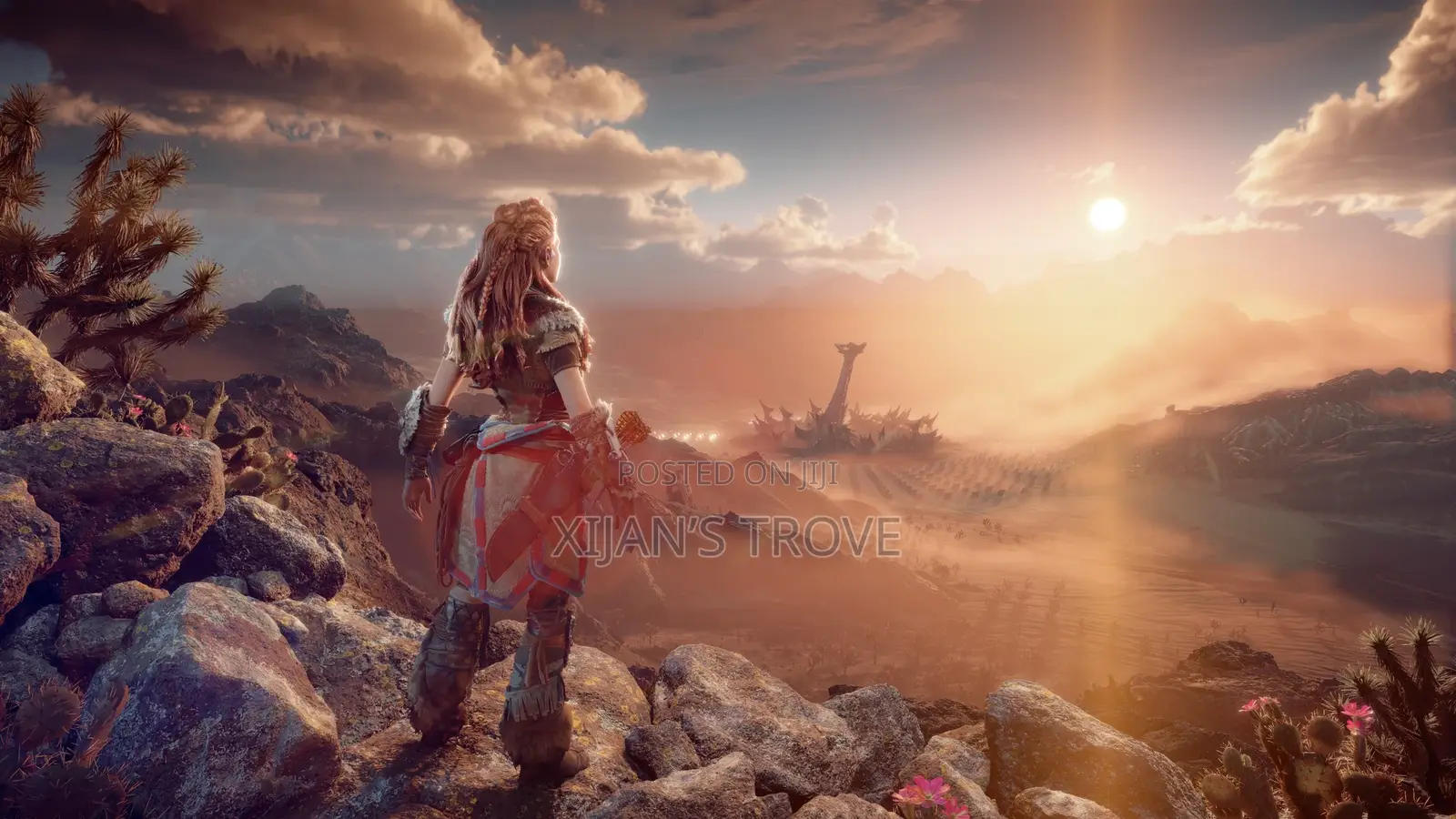 Horizon Forbidden West Offline Installation for PS4 | PS5
