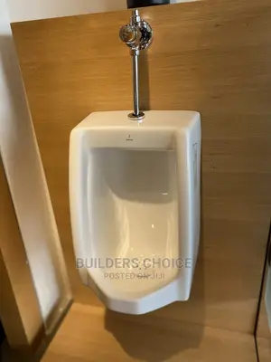 Urinal Bowl
