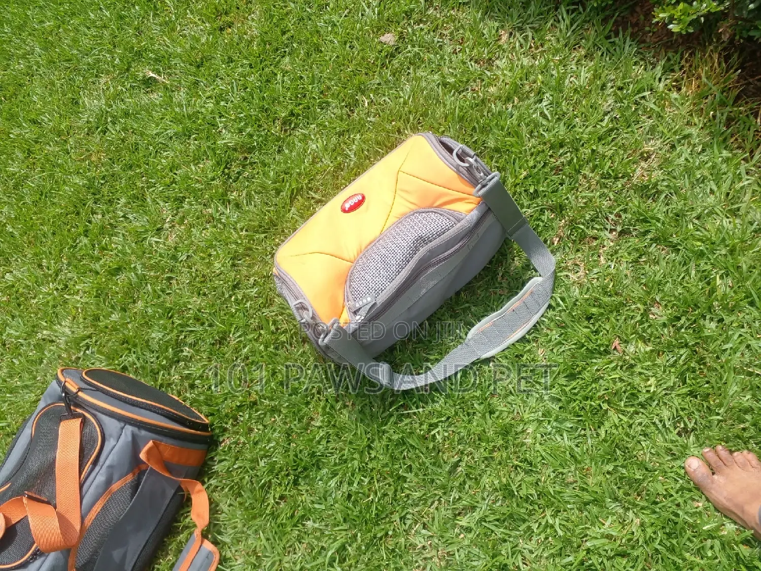 Pet Carrier Bags Available for Sale
