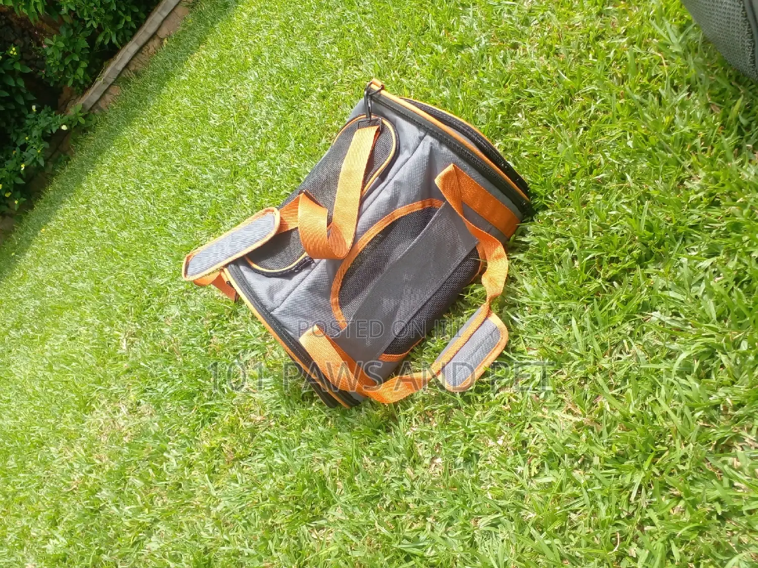 Pet Carrier Bags Available for Sale