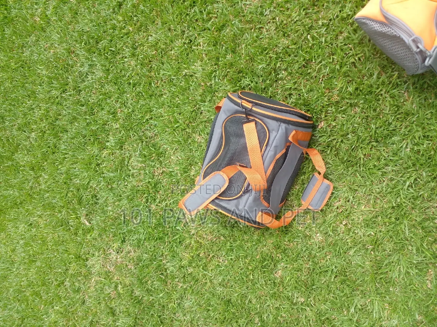 Pet Carrier Bags Available for Sale