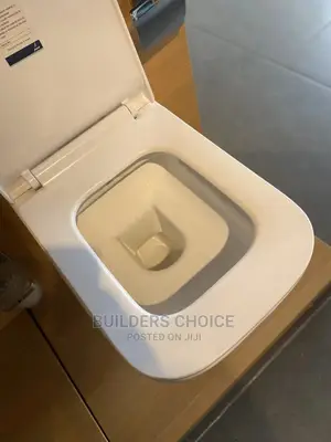 Concealed Wall Hang Water Closet