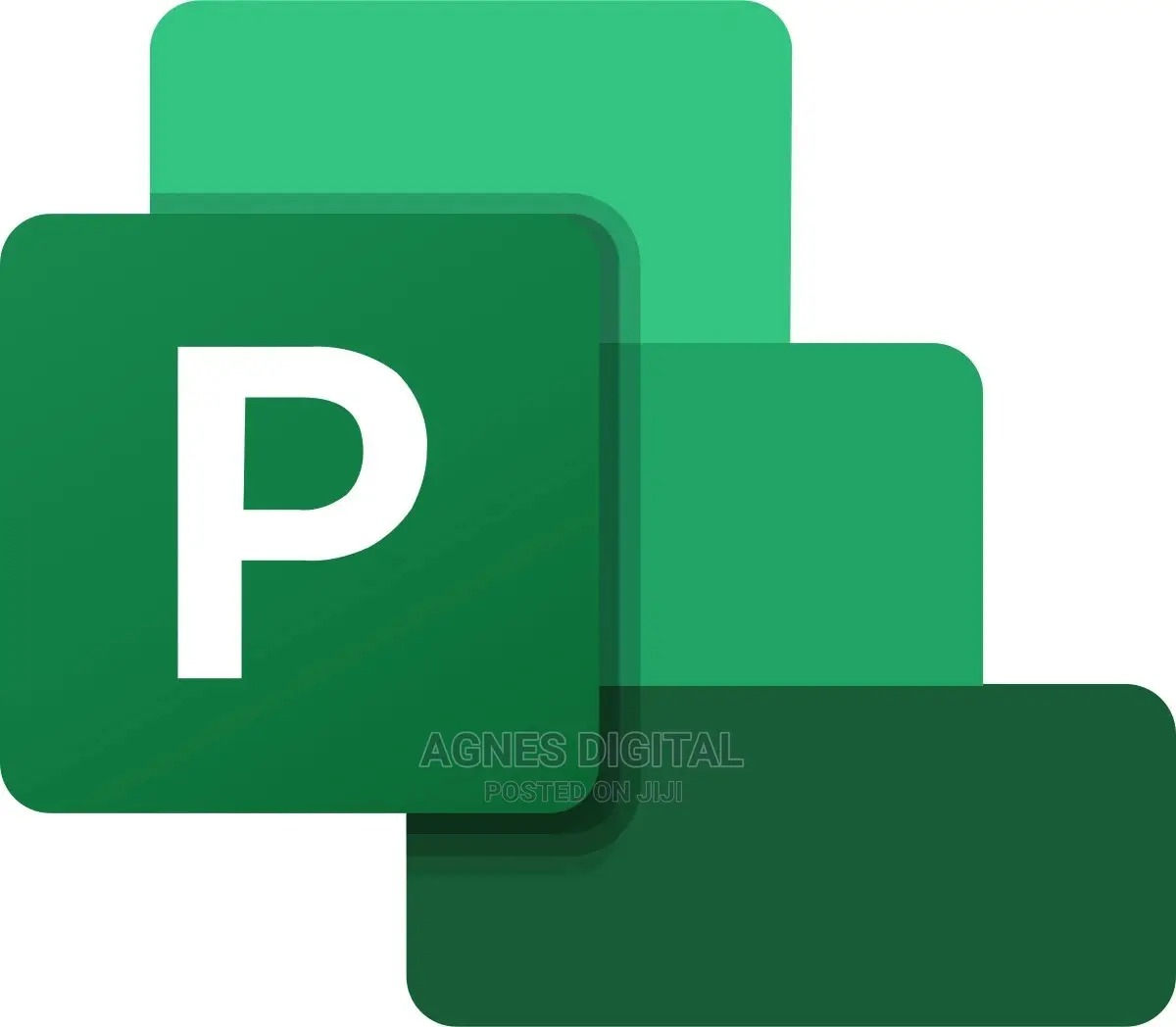 Microsoft Project 2021 Key 1 User