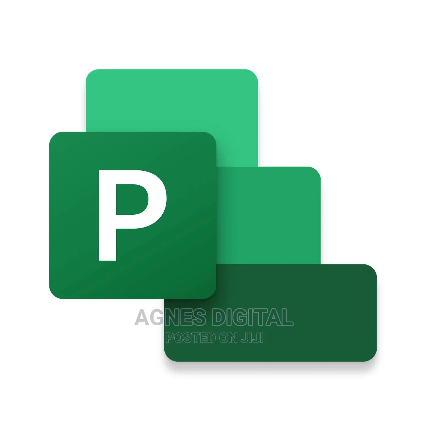 MS Project Professional 2021 License (1 Device)