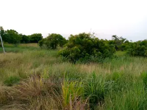 3 Acres Roadside Land at Ningo Prampram