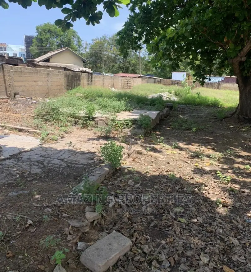 2 Plots of Land for Sale at Danquah