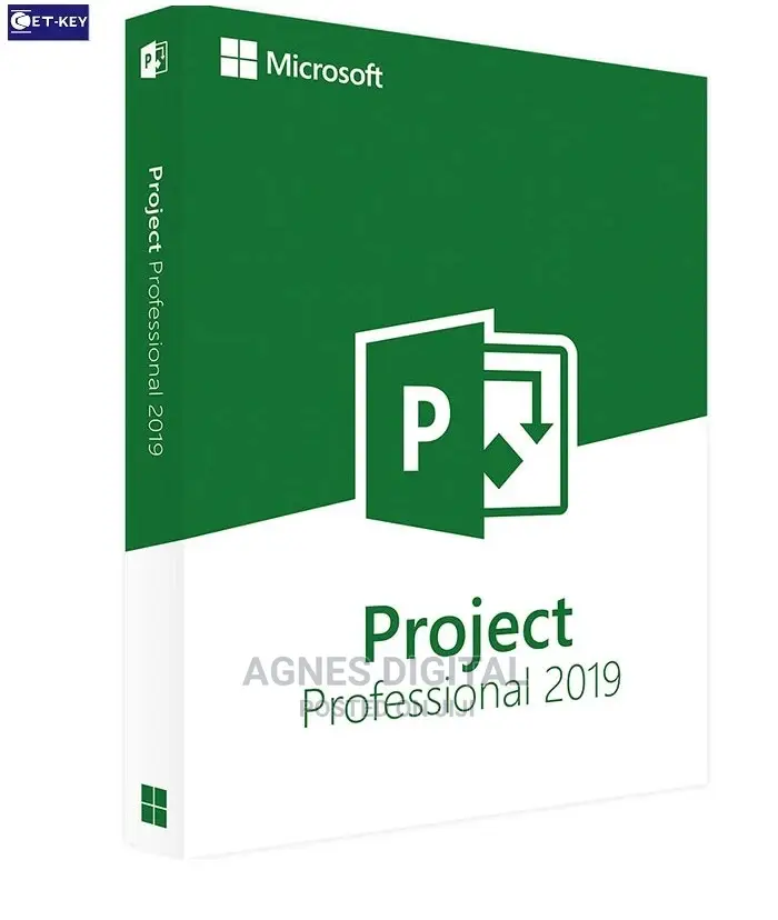 Project Professional 2019 Digital License Key (1PC)