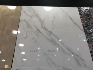 30/60 Wall Tiles (Made In India )