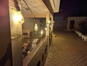 10 Meters String Light With 20 Big Bulbs