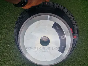 12" Naked Speaker (EV 12" Big Magnet Speaker)