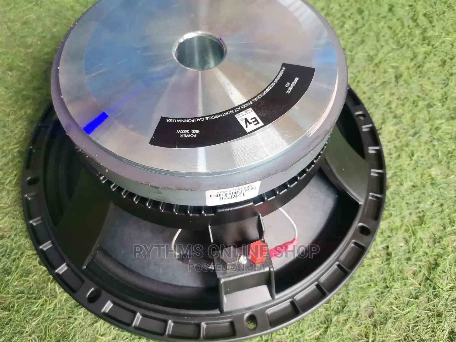 12" Naked Speaker (EV 12" Big Magnet Speaker)