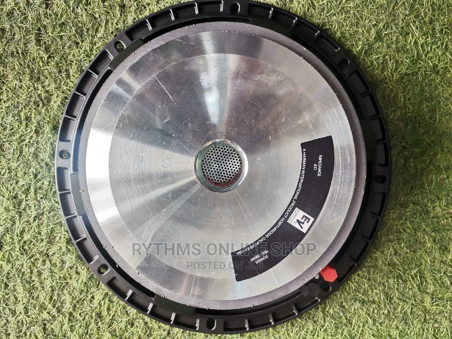 12" Naked Speaker (EV 12" Big Magnet Speaker)