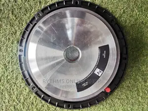12" Naked Speaker (EV 12" Big Magnet Speaker)