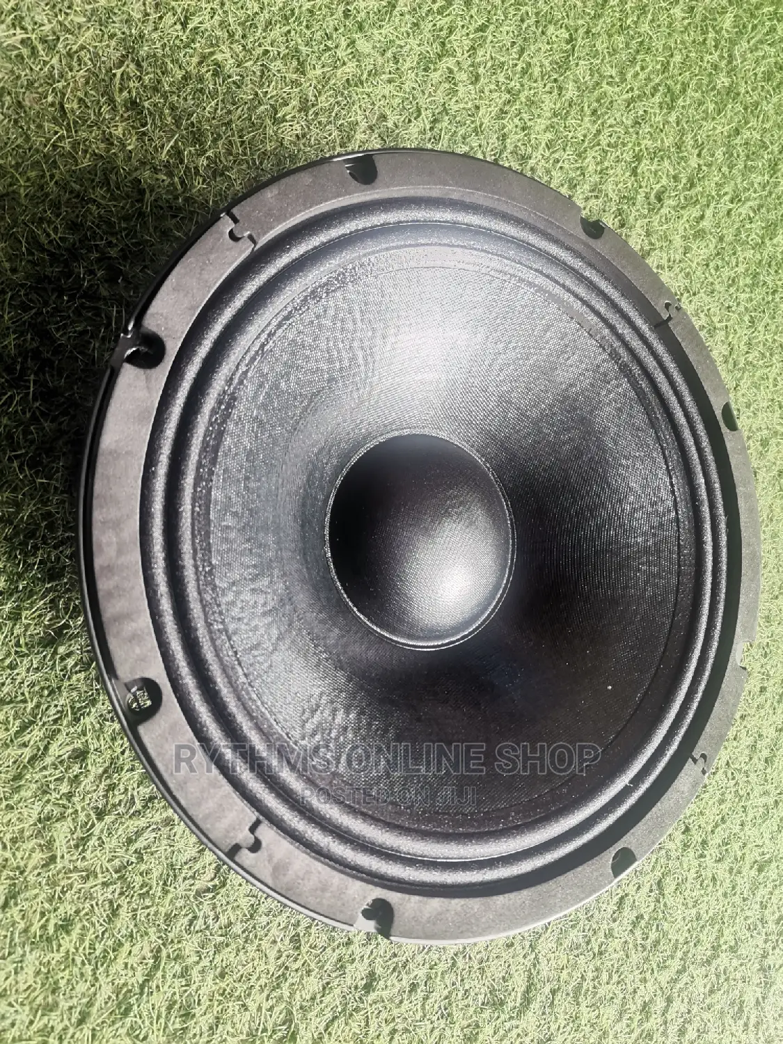 12" Naked Speaker (EV 12" Big Magnet Speaker)