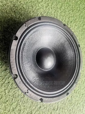 12" Naked Speaker (EV 12" Big Magnet Speaker)