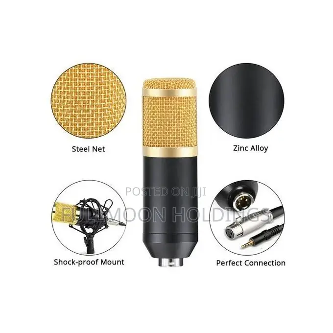 BM 800 Professional Studio Audio Condenser Microphone