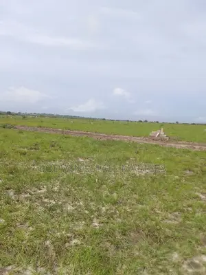 Massive Affordable Plots for Sale