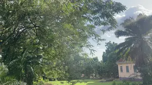 2 and Half Acres of Land Now Selling at Kumasi