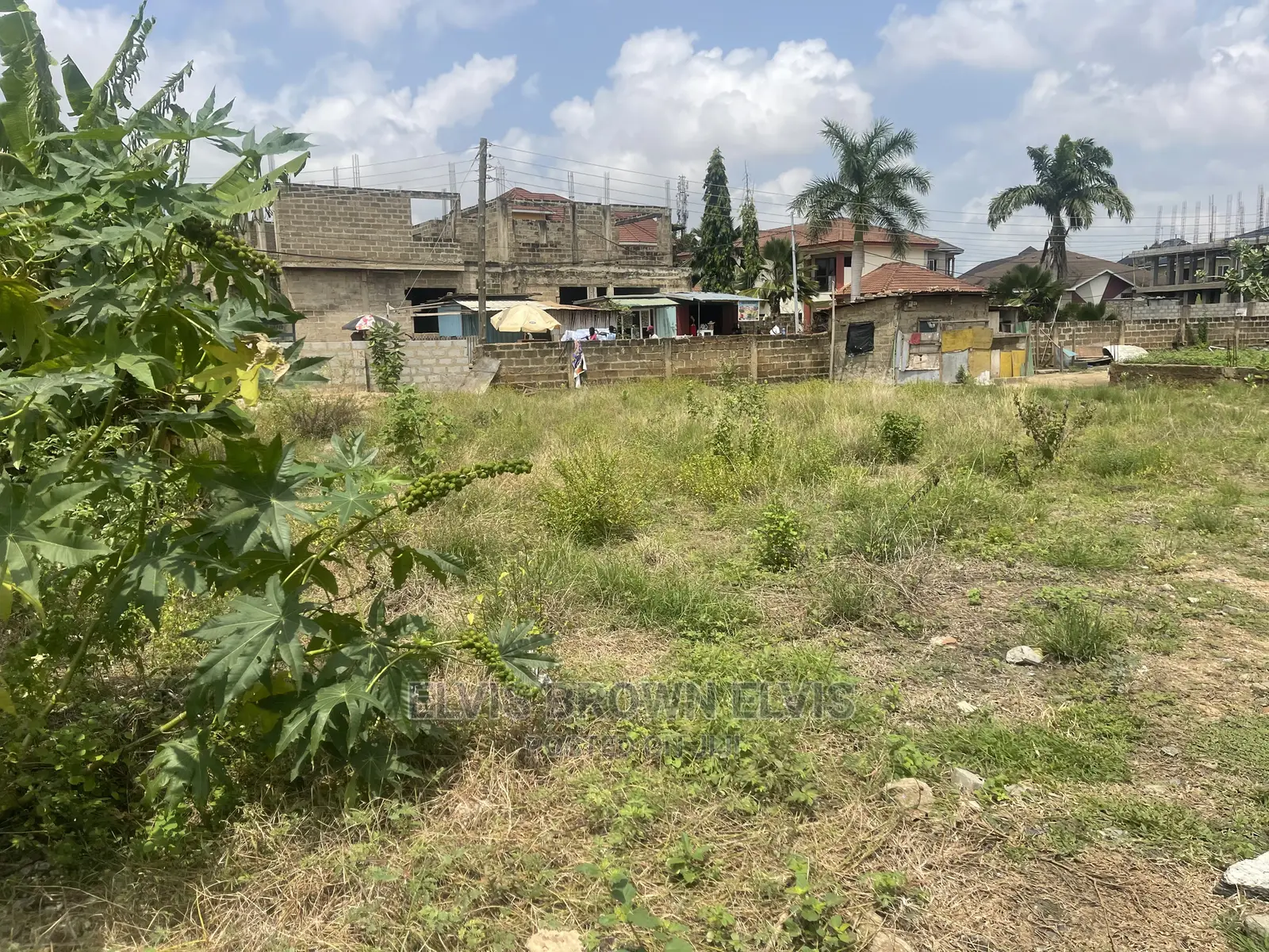 Two Plots of Land for Sale at TRASACCO Area