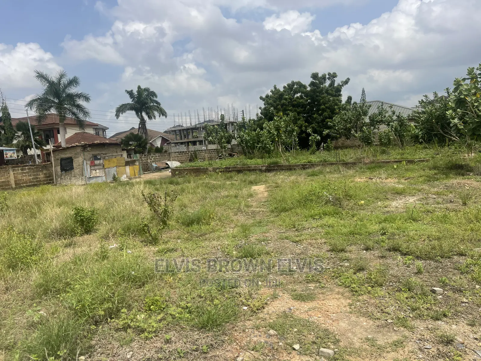 Two Plots of Land for Sale at TRASACCO Area