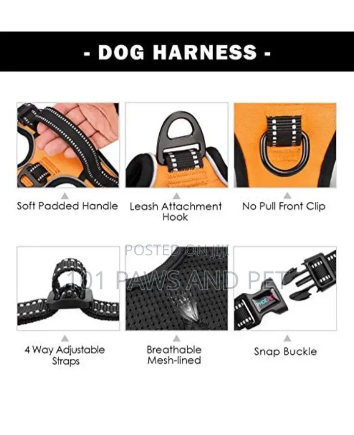 Harness Available for Small Dogs