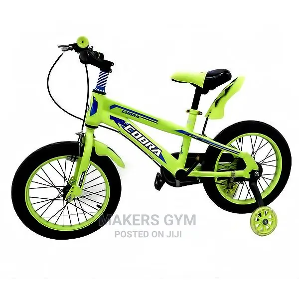 KIDS BICYCLE(Chain Guard)With Mud Guard