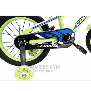KIDS BICYCLE(Chain Guard)With Mud Guard