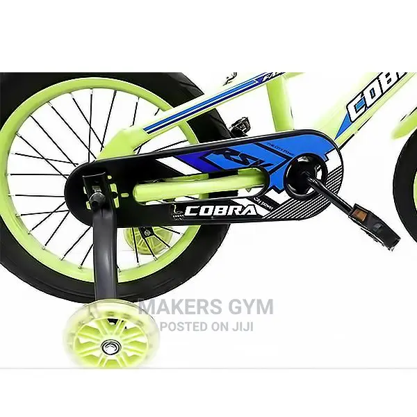 KIDS BICYCLE(Chain Guard)With Mud Guard