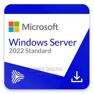 Microsoft Windows Server 2022 Standard Lifetime 1PC